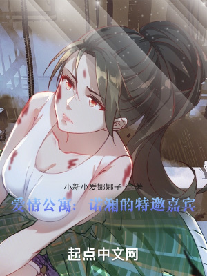 爱情公寓:诺澜的特邀嘉宾